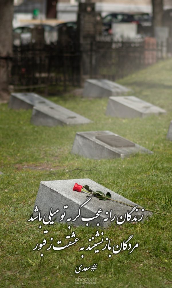 شعر عکس - زندگان را نه عجب گر به تو میلی باشد - مردگان بازنشینند به عشقت ز قبور