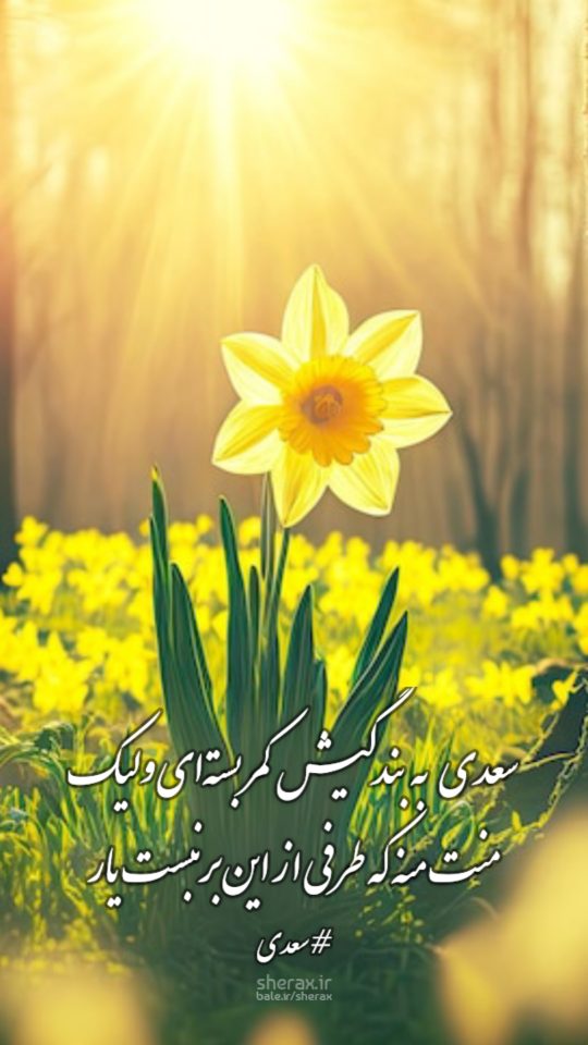 شعر عکس - سعدی به بندگیش کمر بسته‌ای ولیک - منت منه که طرفی از این برنبست یار