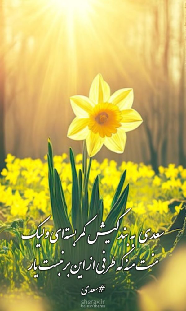 شعر عکس - سعدی به بندگیش کمر بسته‌ای ولیک - منت منه که طرفی از این برنبست یار